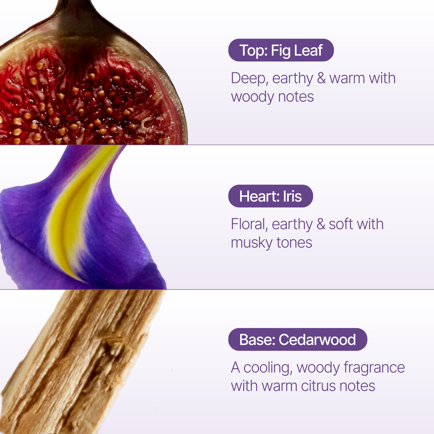 Fig Leaf Fragrance Oil