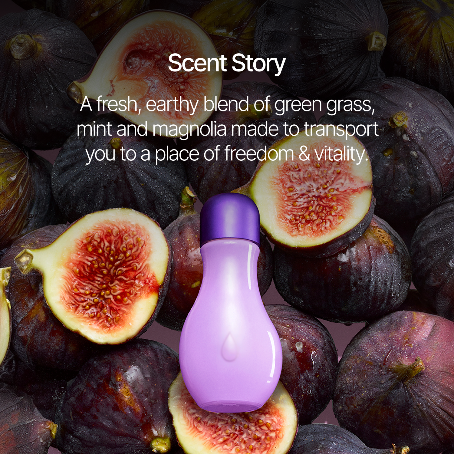 Fig Leaf Fragrance Oil