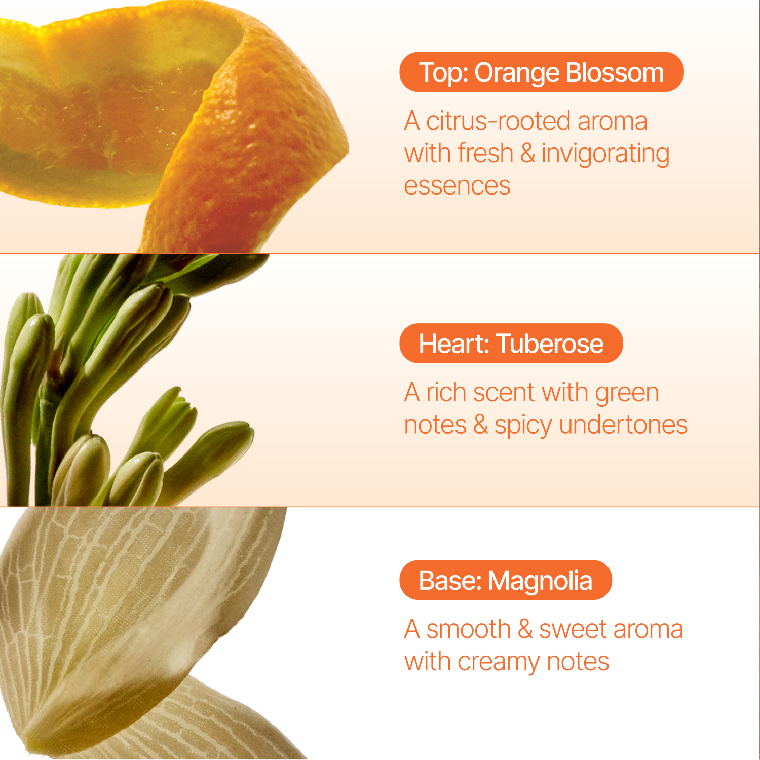 Orange Blossom Fragrance Oil