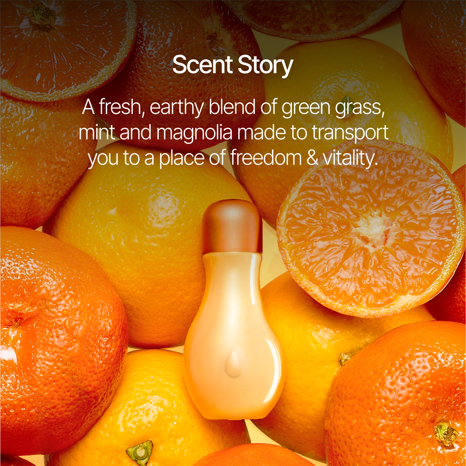 Orange Blossom Fragrance Oil