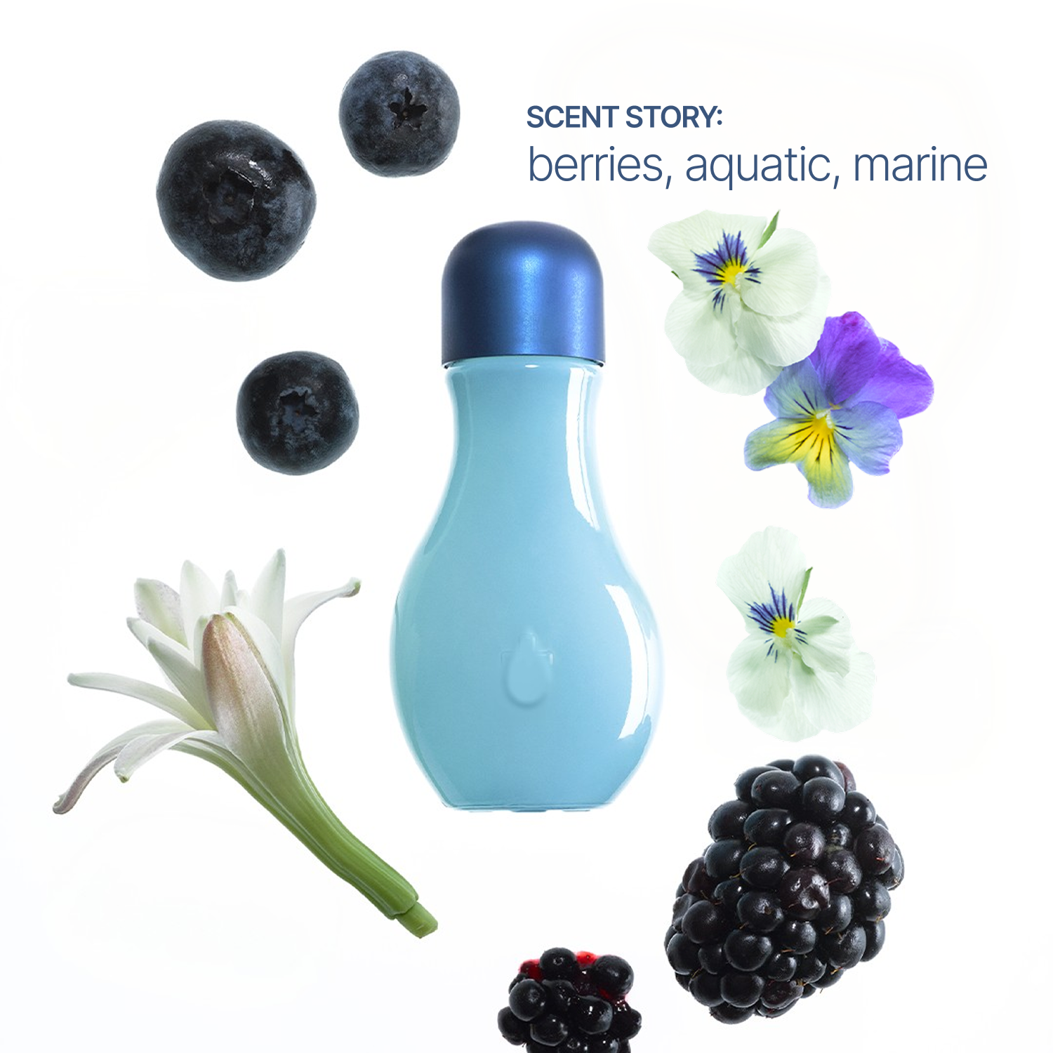 Wild Berry Fragrance Oil