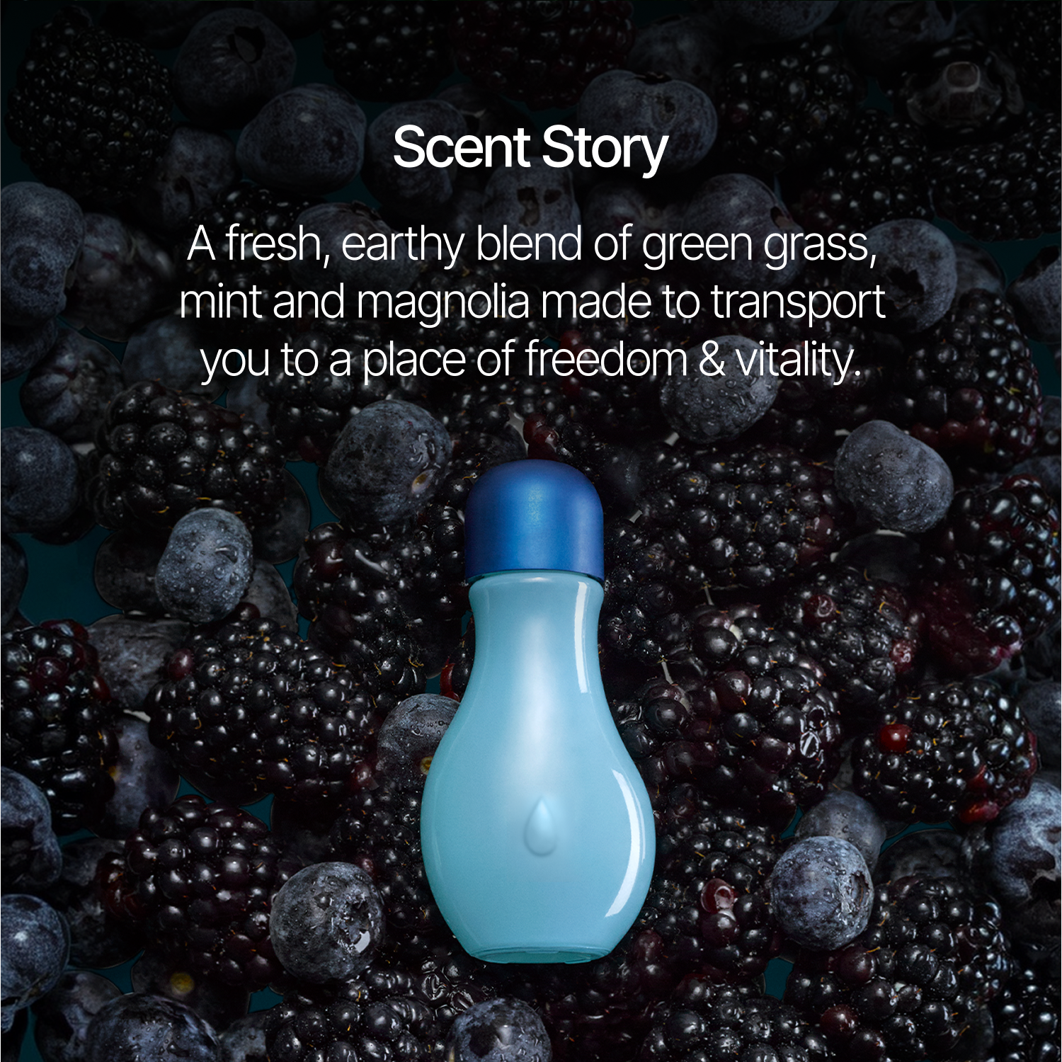 Wild Berry Fragrance Oil