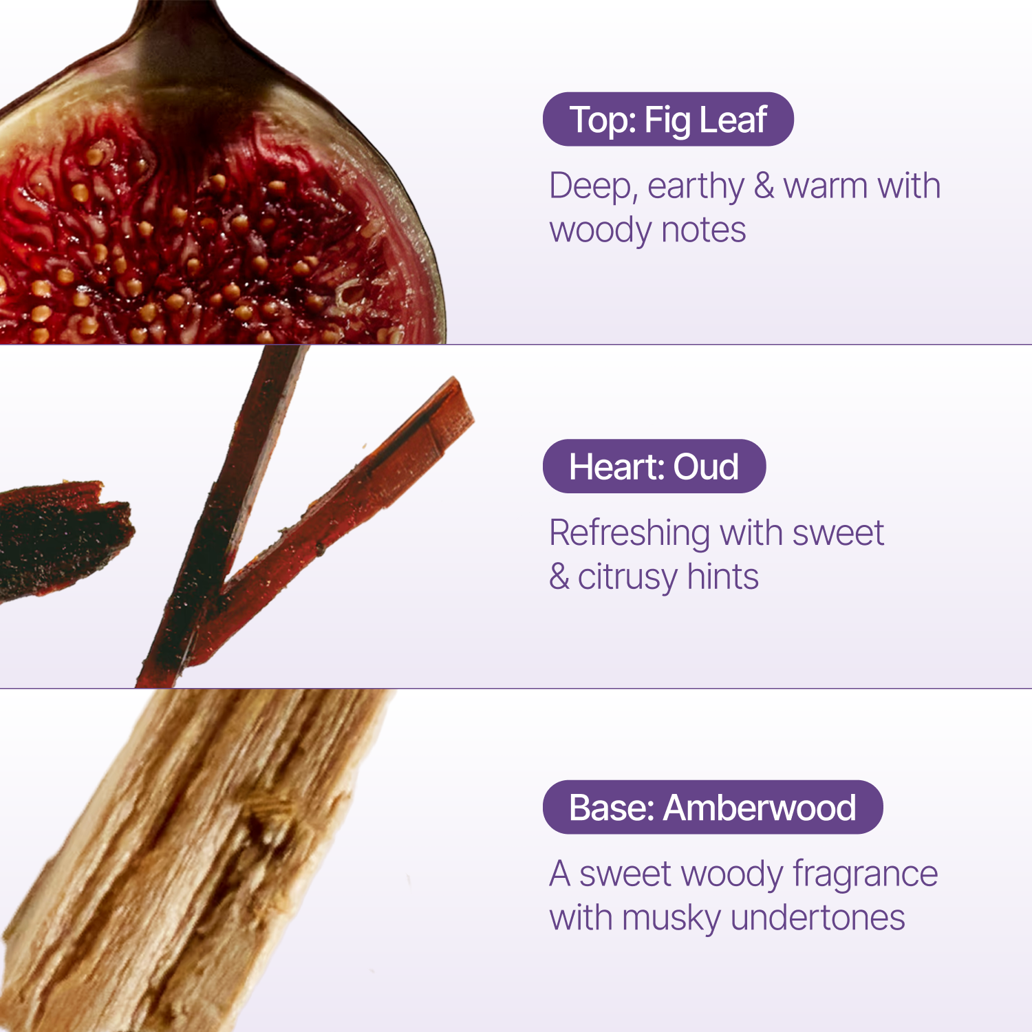 Fig Leaf Incense