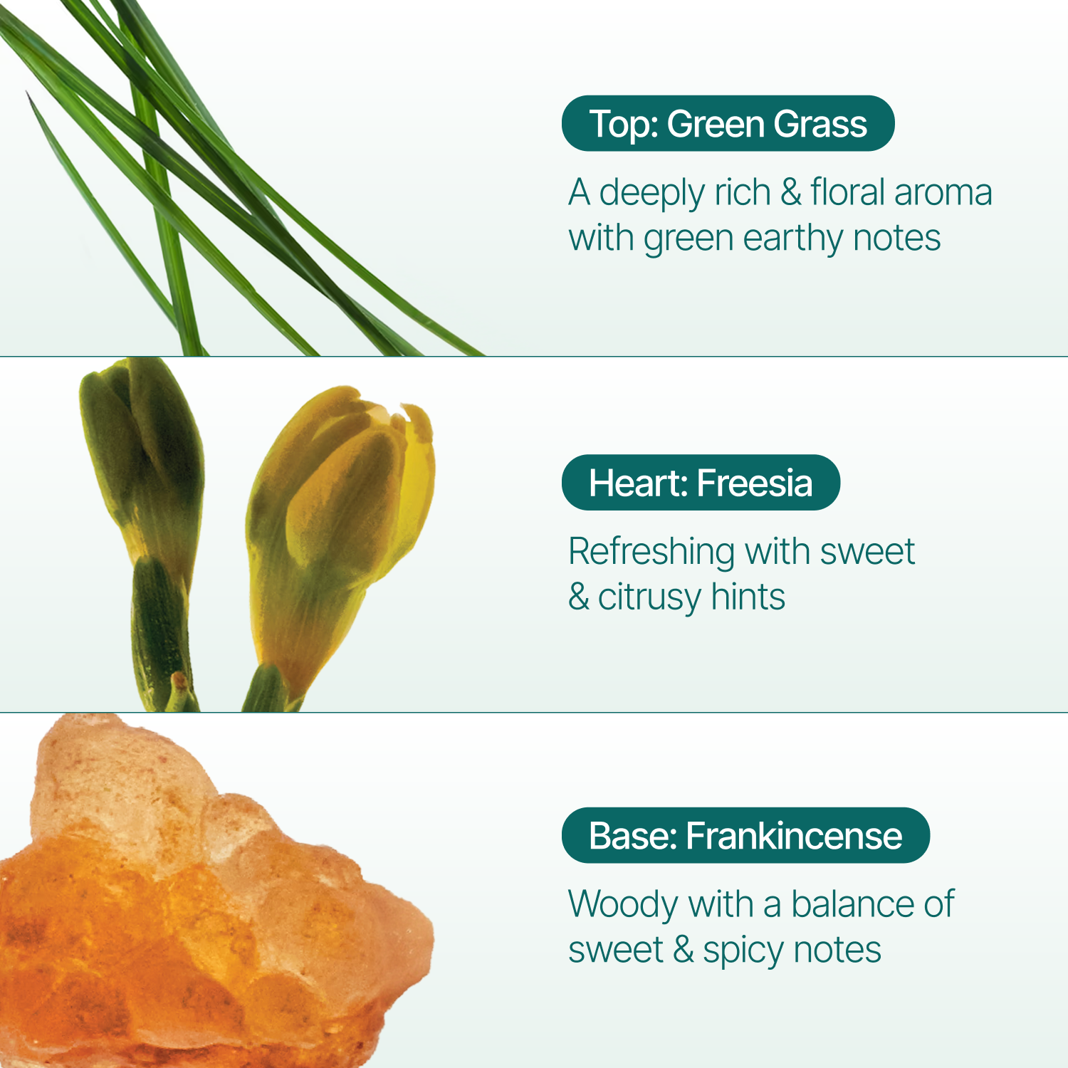 Green Grass Incense