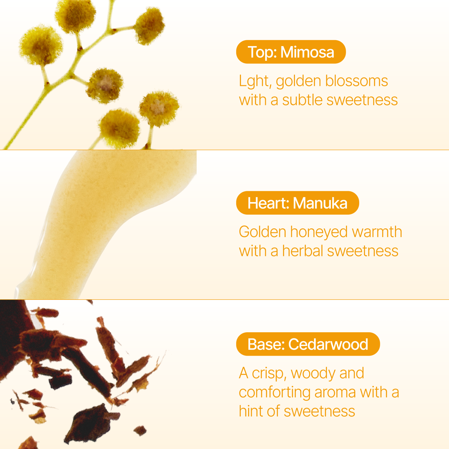Mimosa Incense