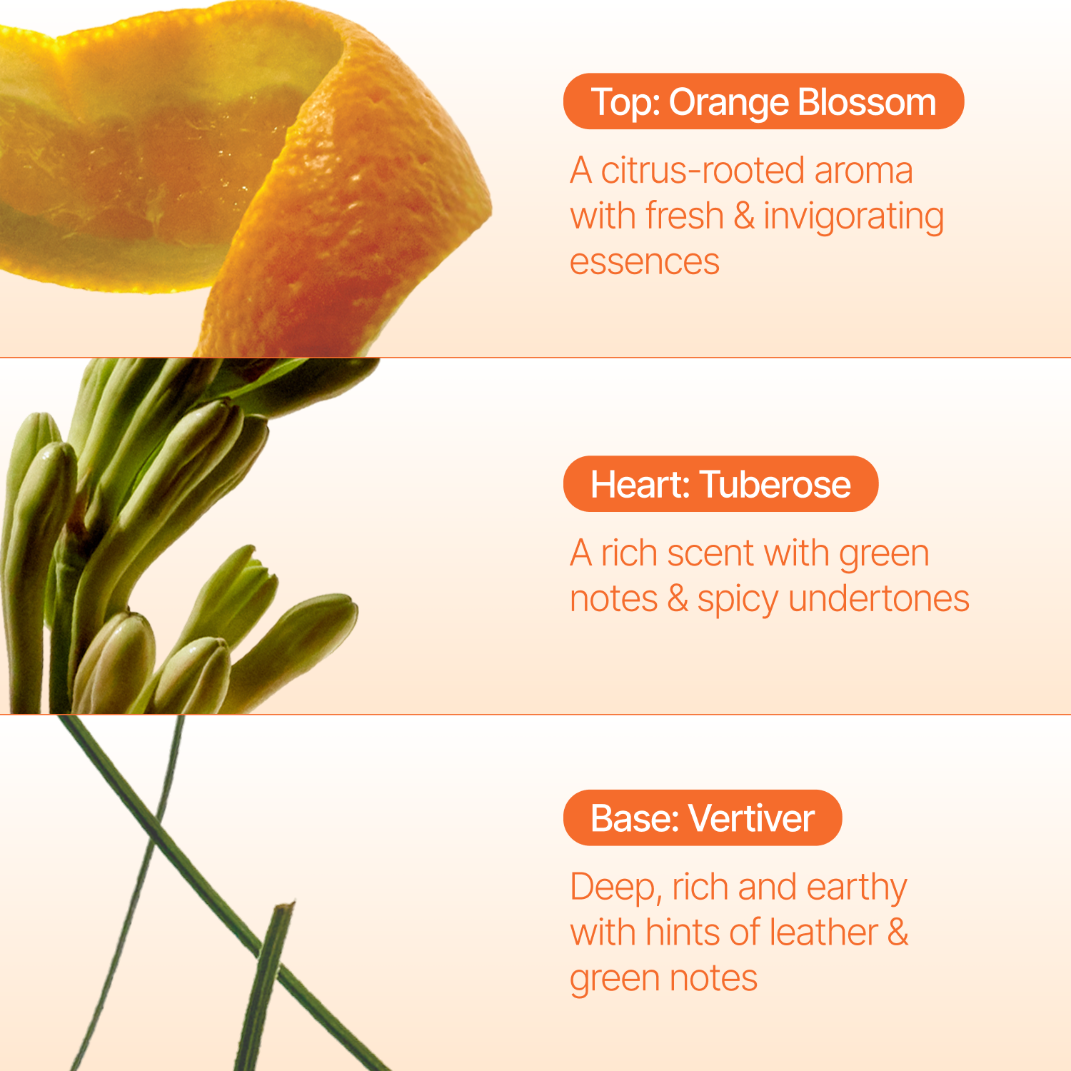 Orange Blossom Incense