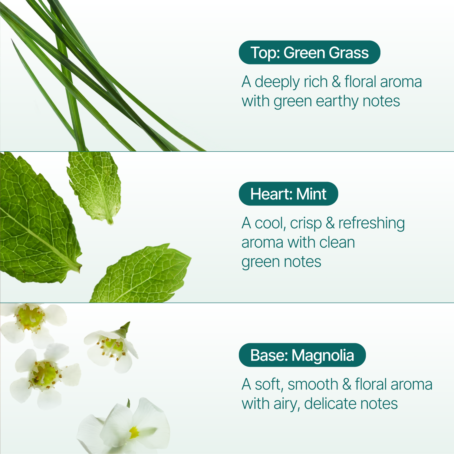 Green Grass Reed Diffuser