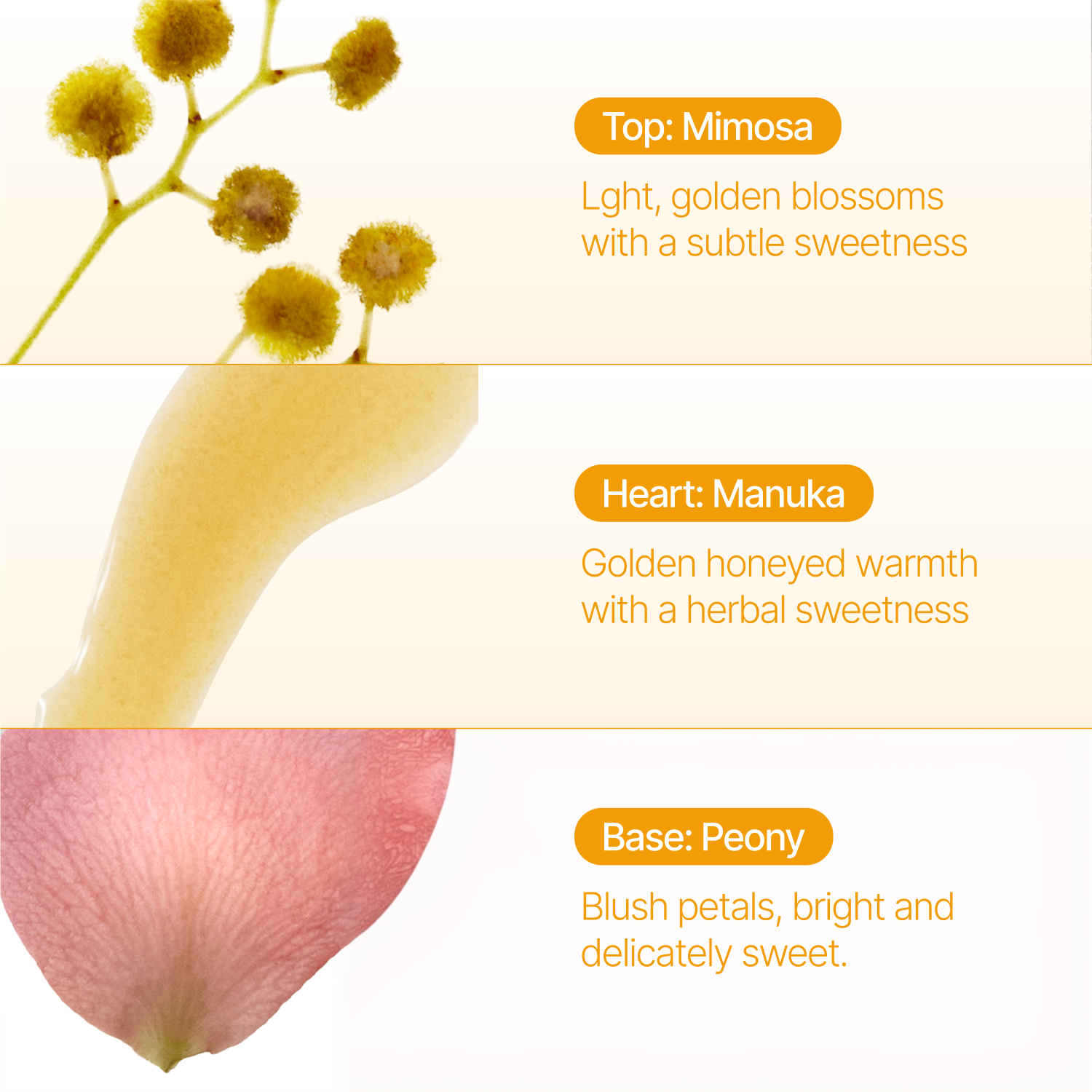 Mimosa Reed Diffuser