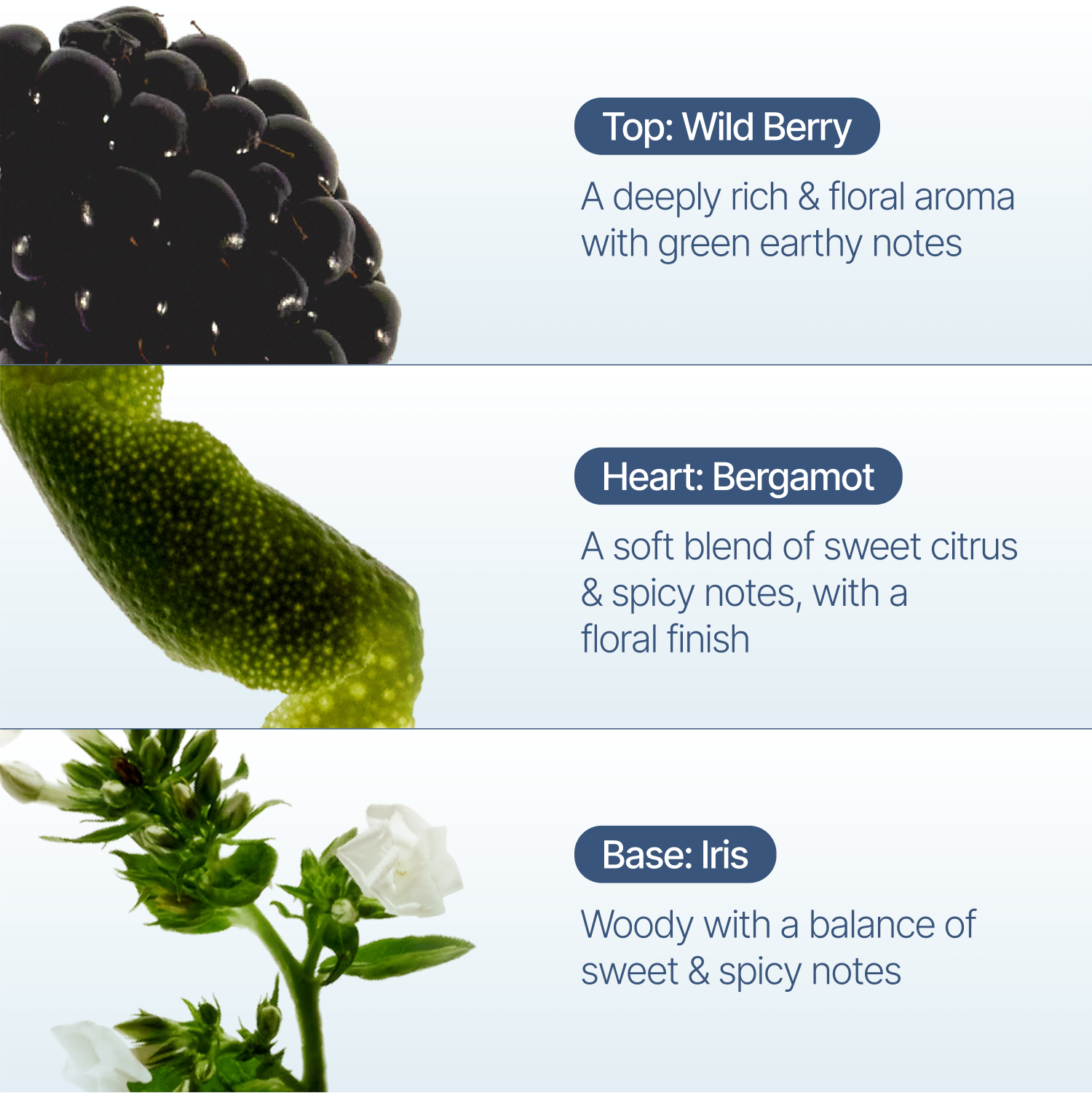 Wild Berry Reed Diffuser