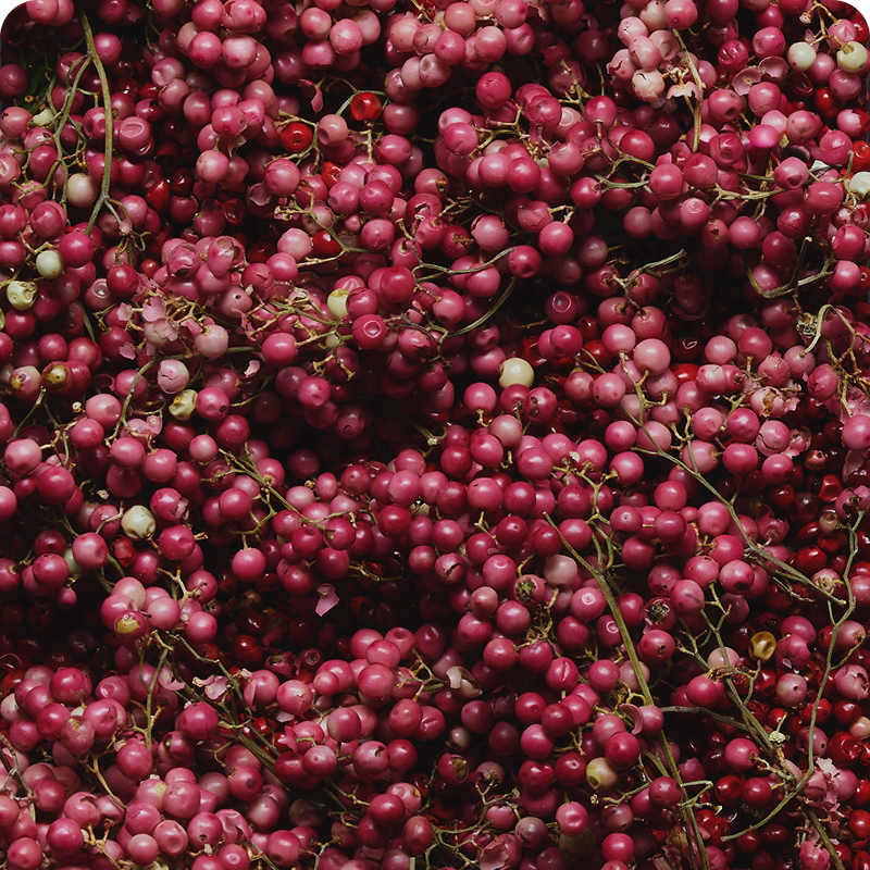 Pink Pepper