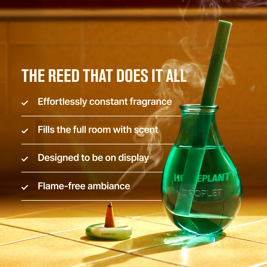 The House Scent Reed Diffuser