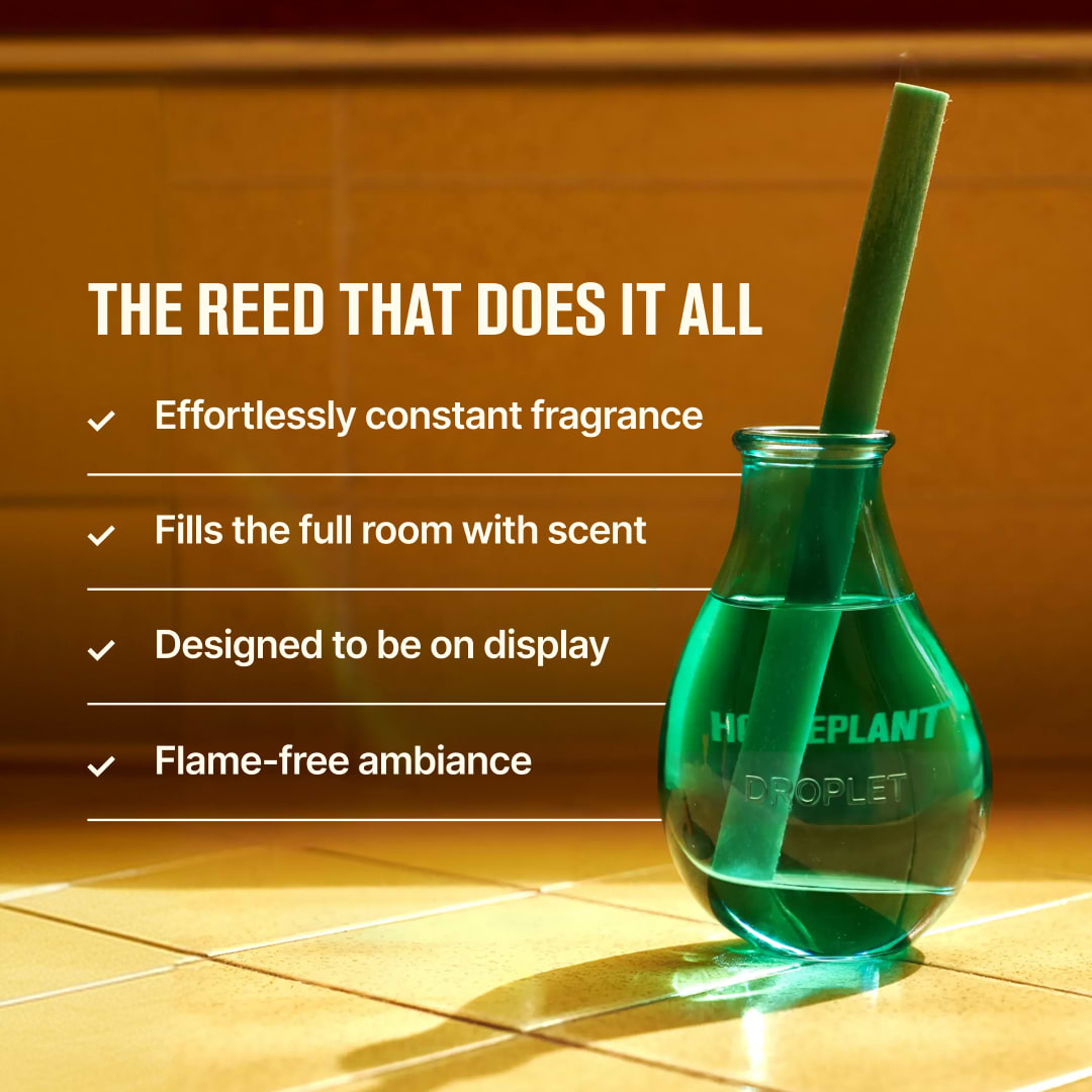 The House Scent Reed Diffuser