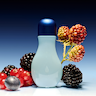 Wild Berry