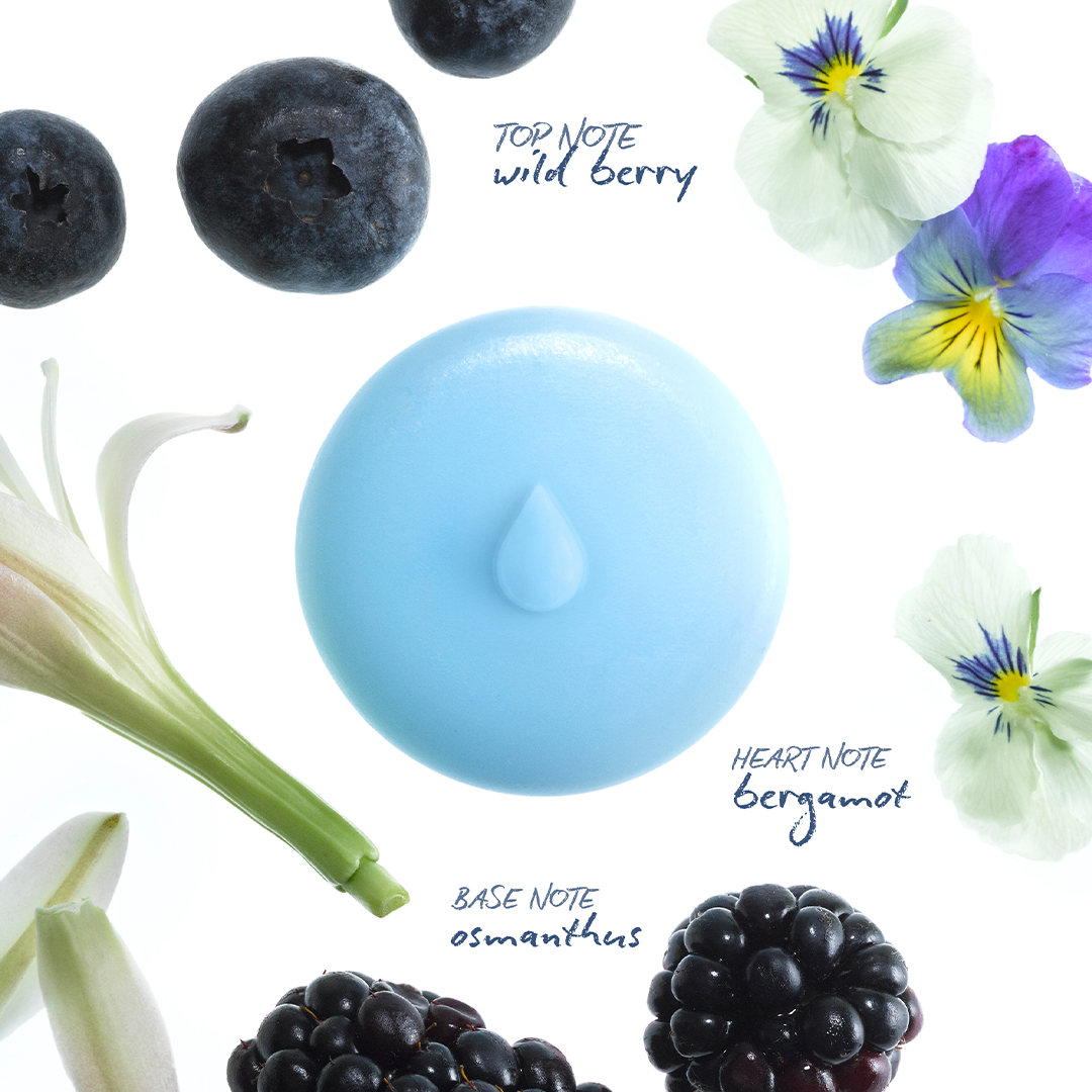Wild Berry Melts