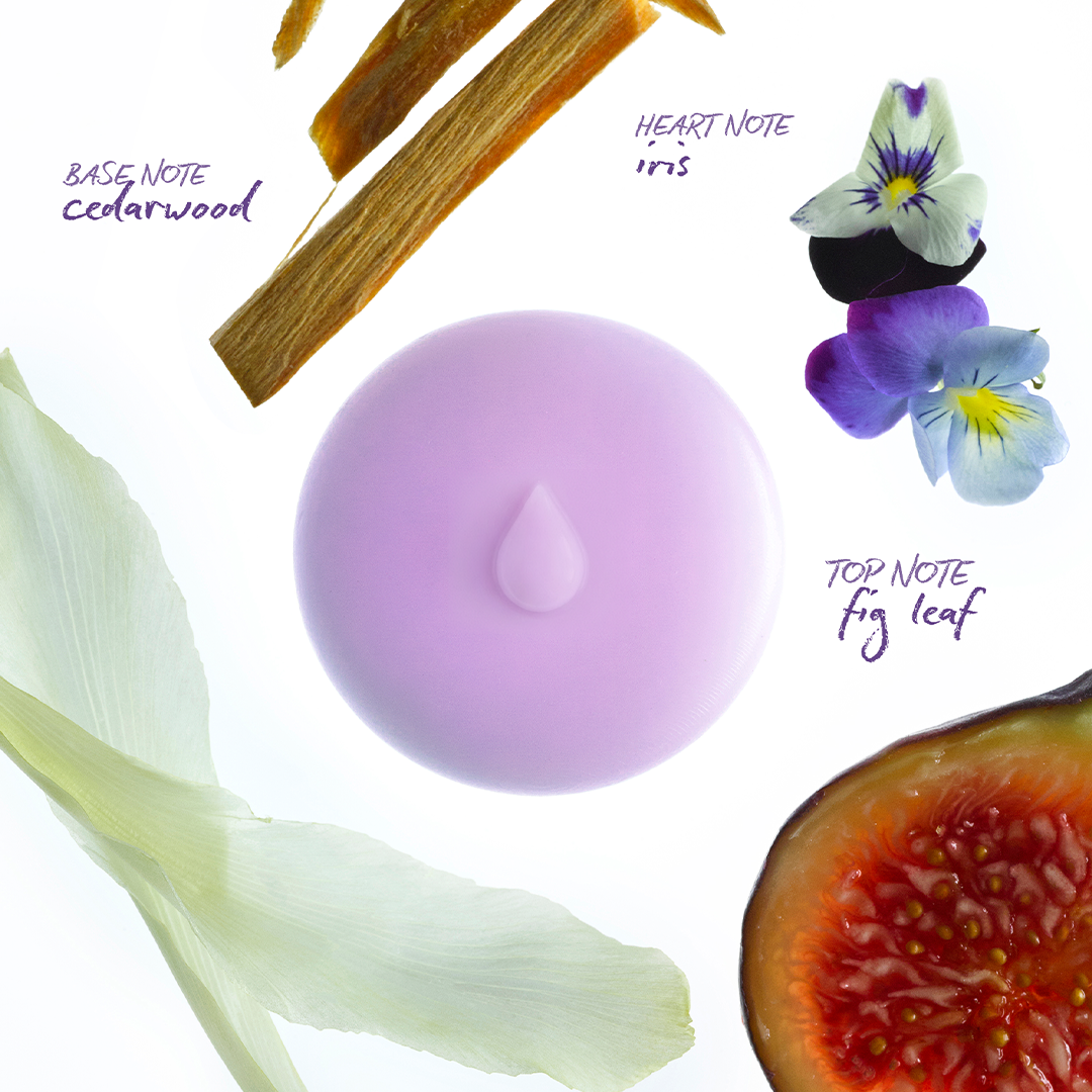 Fig Leaf Melts