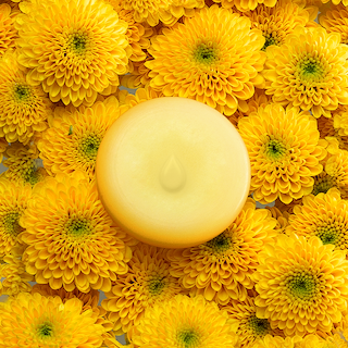 Mimosa Melts