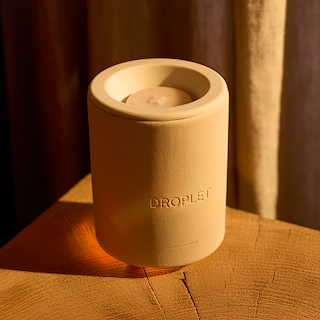 Wax Warmer