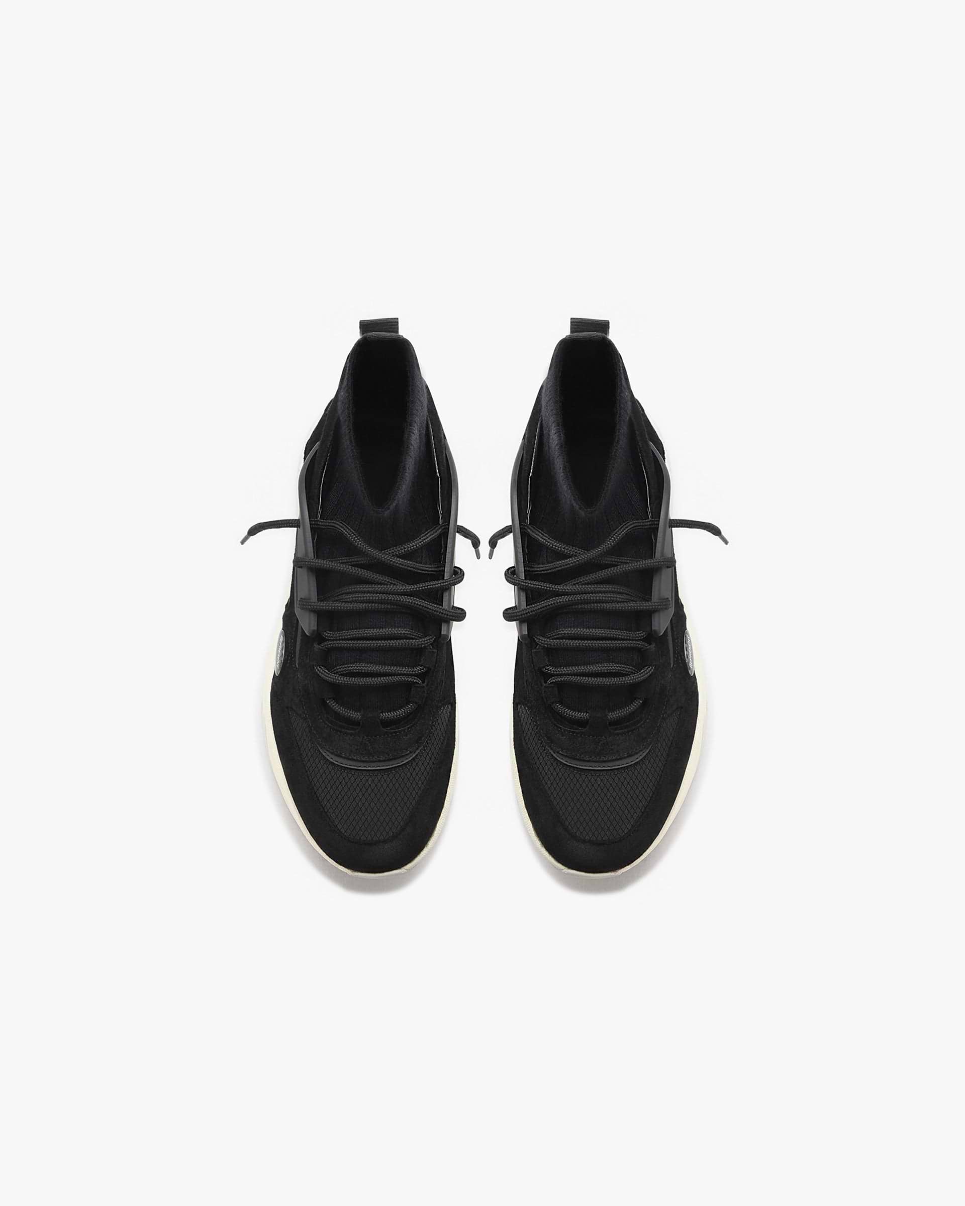 Terrier - Negro