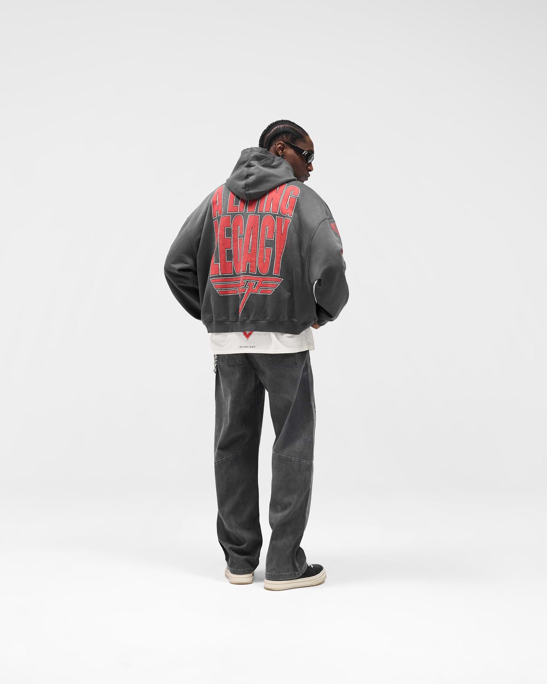 Reversible Living Legacy Tour Hoodie - Sun Fade Grey