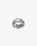 Initial Chain Ring