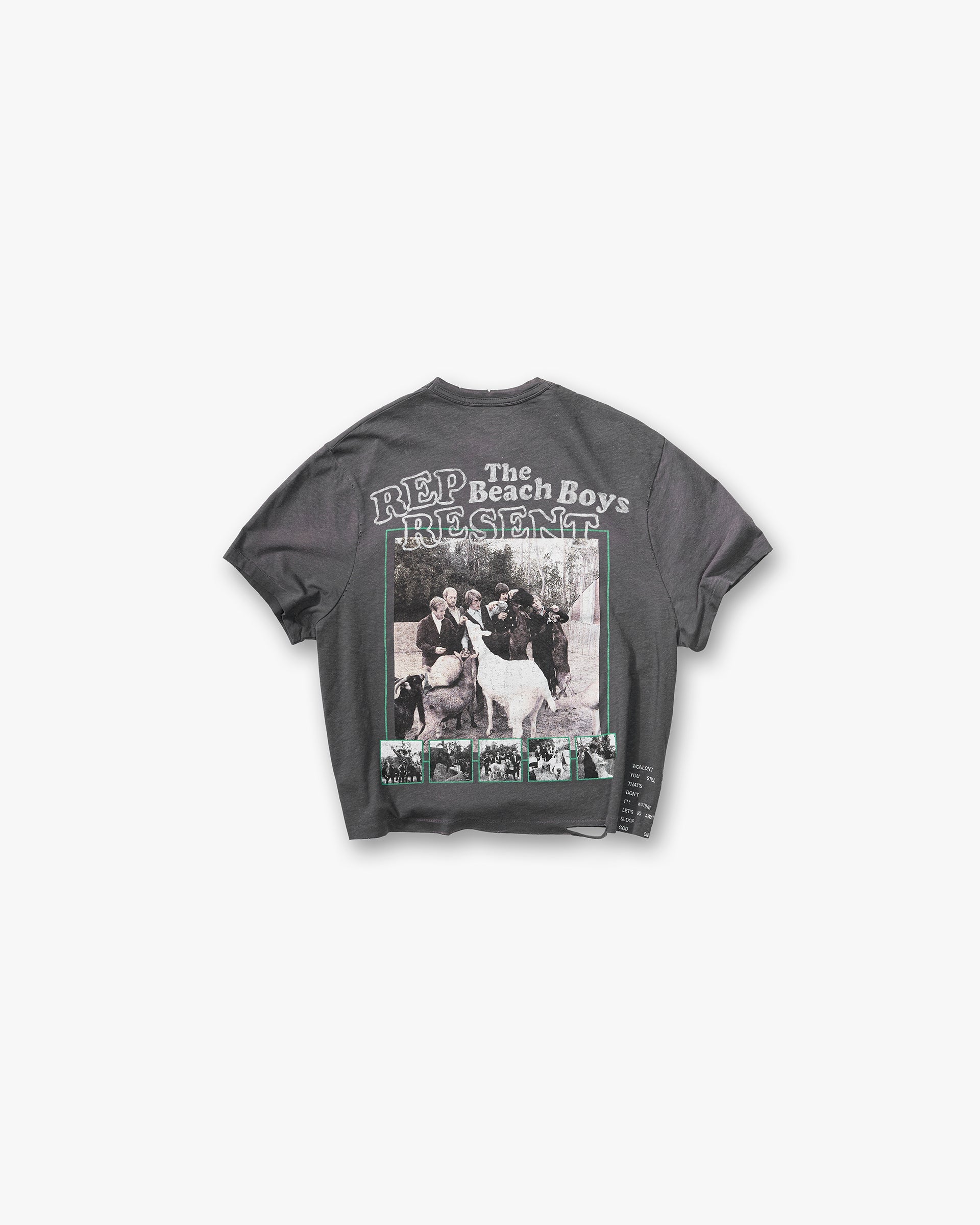 Represent_x_Beach_Boys_Pet_Sounds_T-Shirt_-_Sunfade_Grey_02.jpg