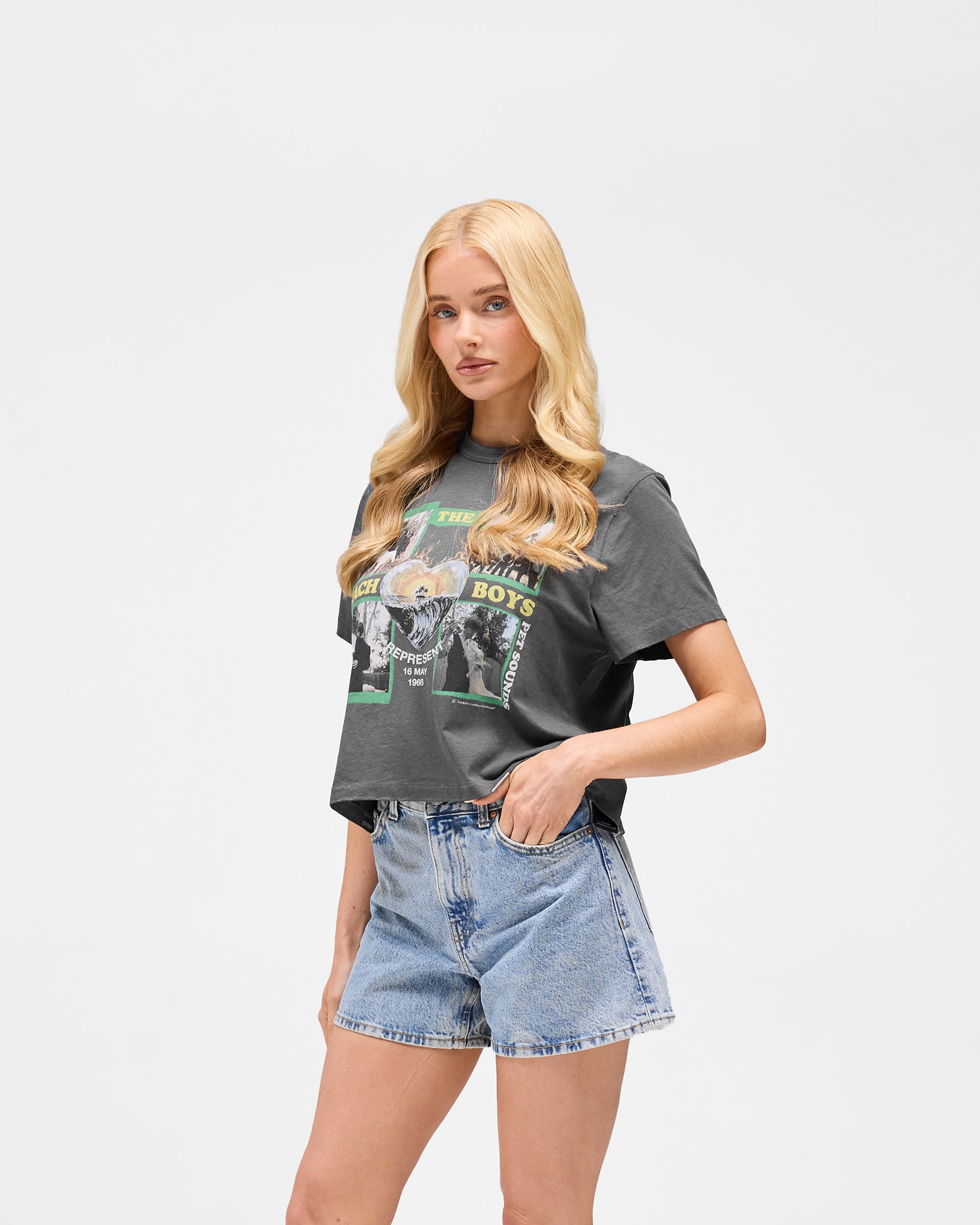 Represent_x_Beach_Boys_Pet_Sounds_T-Shirt_-_Sunfade_Grey_04.jpg
