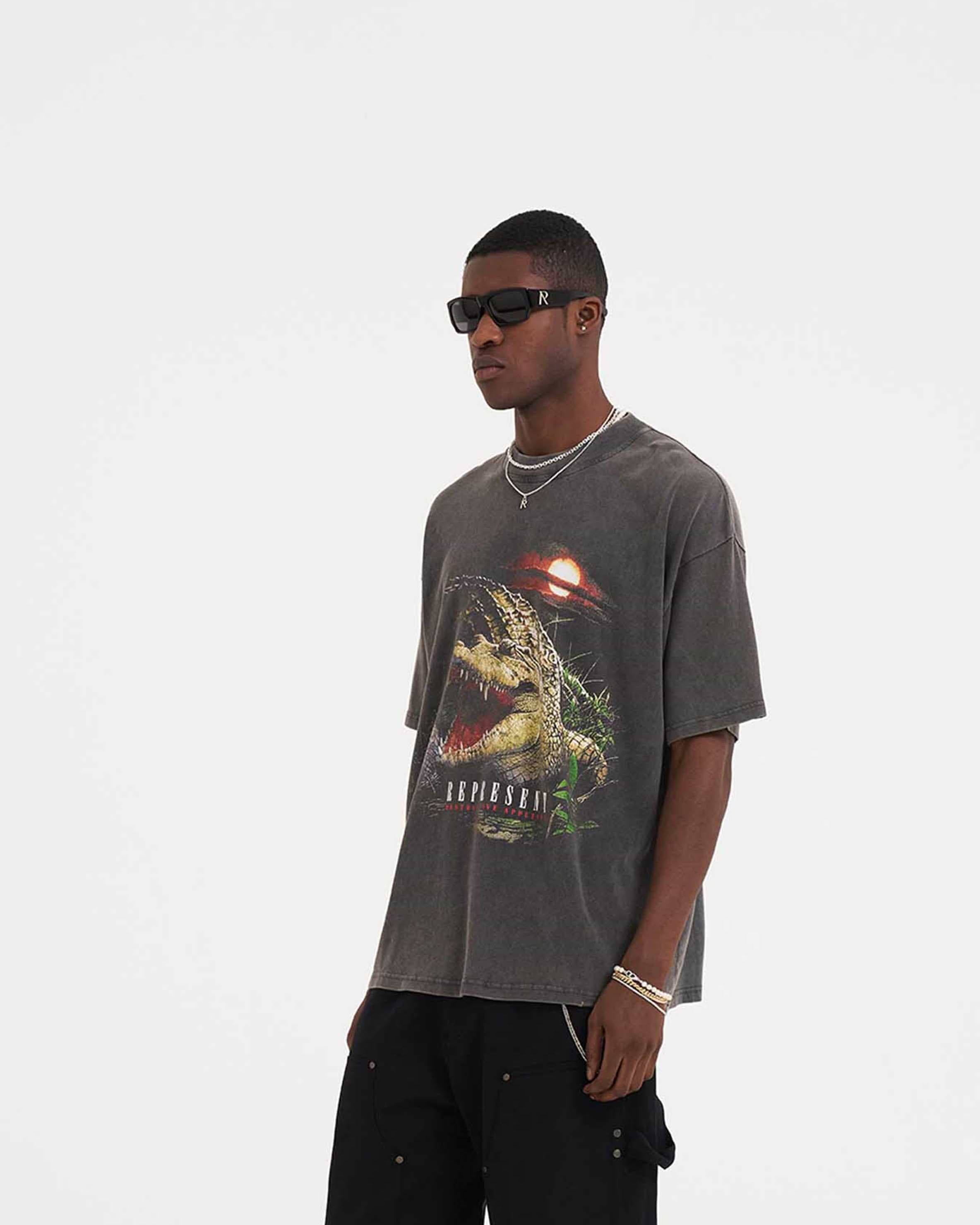 Destructive Appetite T-Shirt | Vintage Grey T-Shirts SS23 | Represent Clo