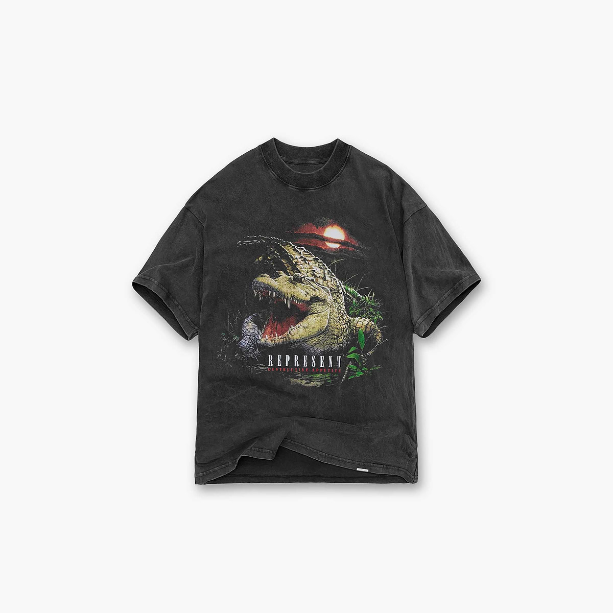 Destructive Appetite T-Shirt - Vintage Grey