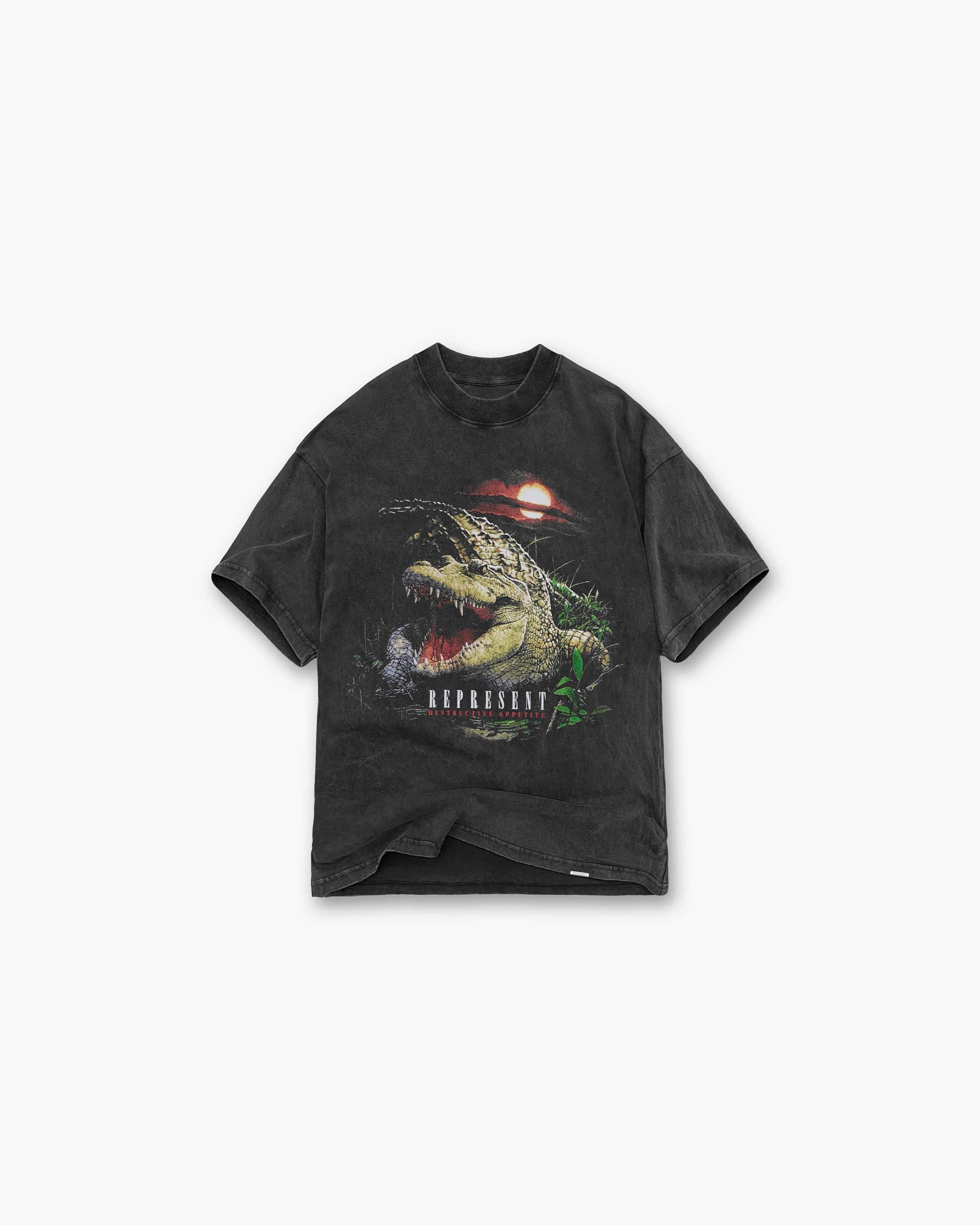 Destructive Appetite T-Shirt | Vintage Grey T-Shirts SS23 | Represent Clo
