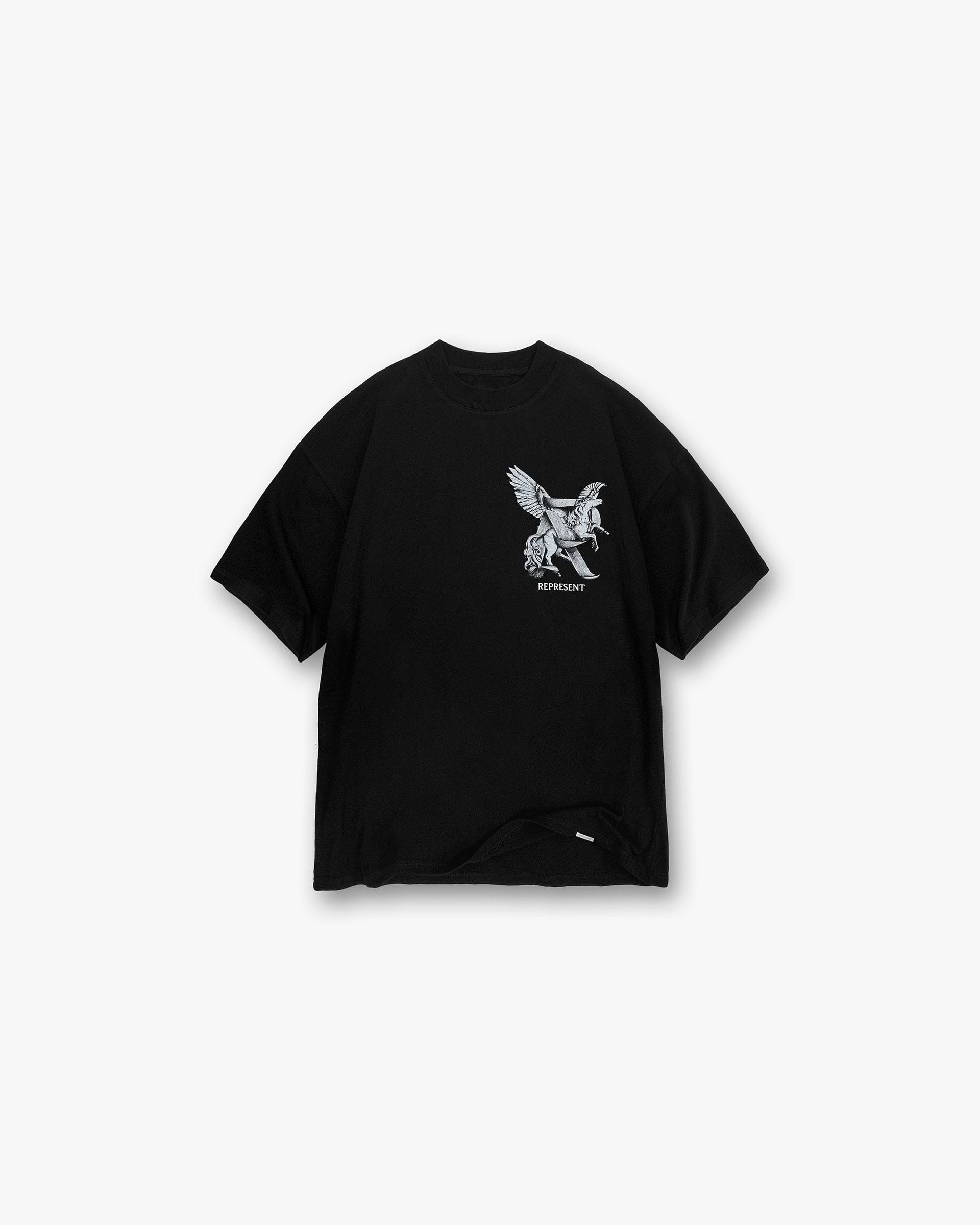 Front product image of a mens black t-shirt on a plain white background | Elegance In Motion T-Shirt in Jet Black | Soft cotton t-shirt | SS25 T-Shirts | Represent Clo