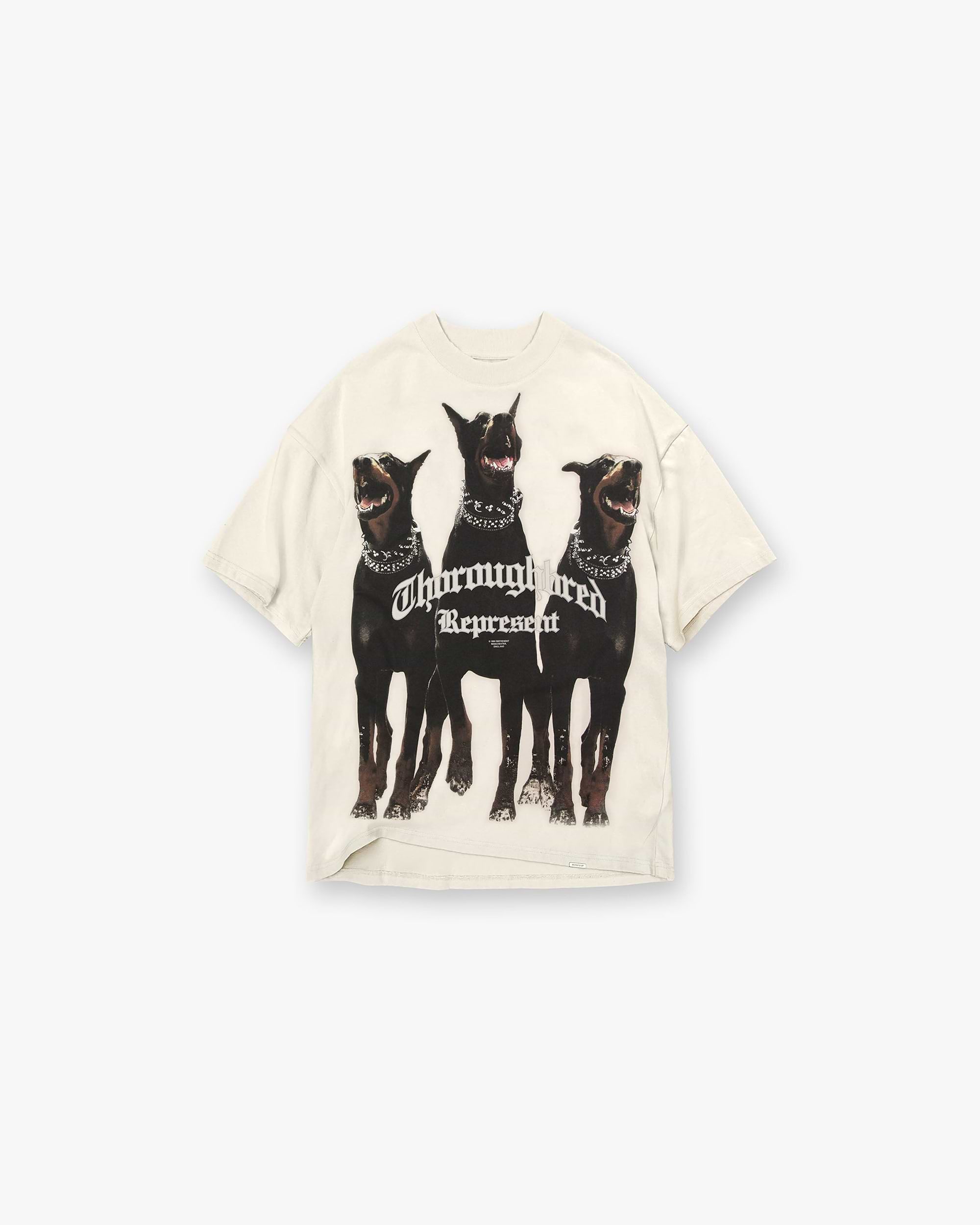 Front product image of a mens white t-shirt on a plain white background | Thoroughbred T Shirt in Vintage White | Classic cotton t-shirt | FW21 T-Shirts | Represent Clo