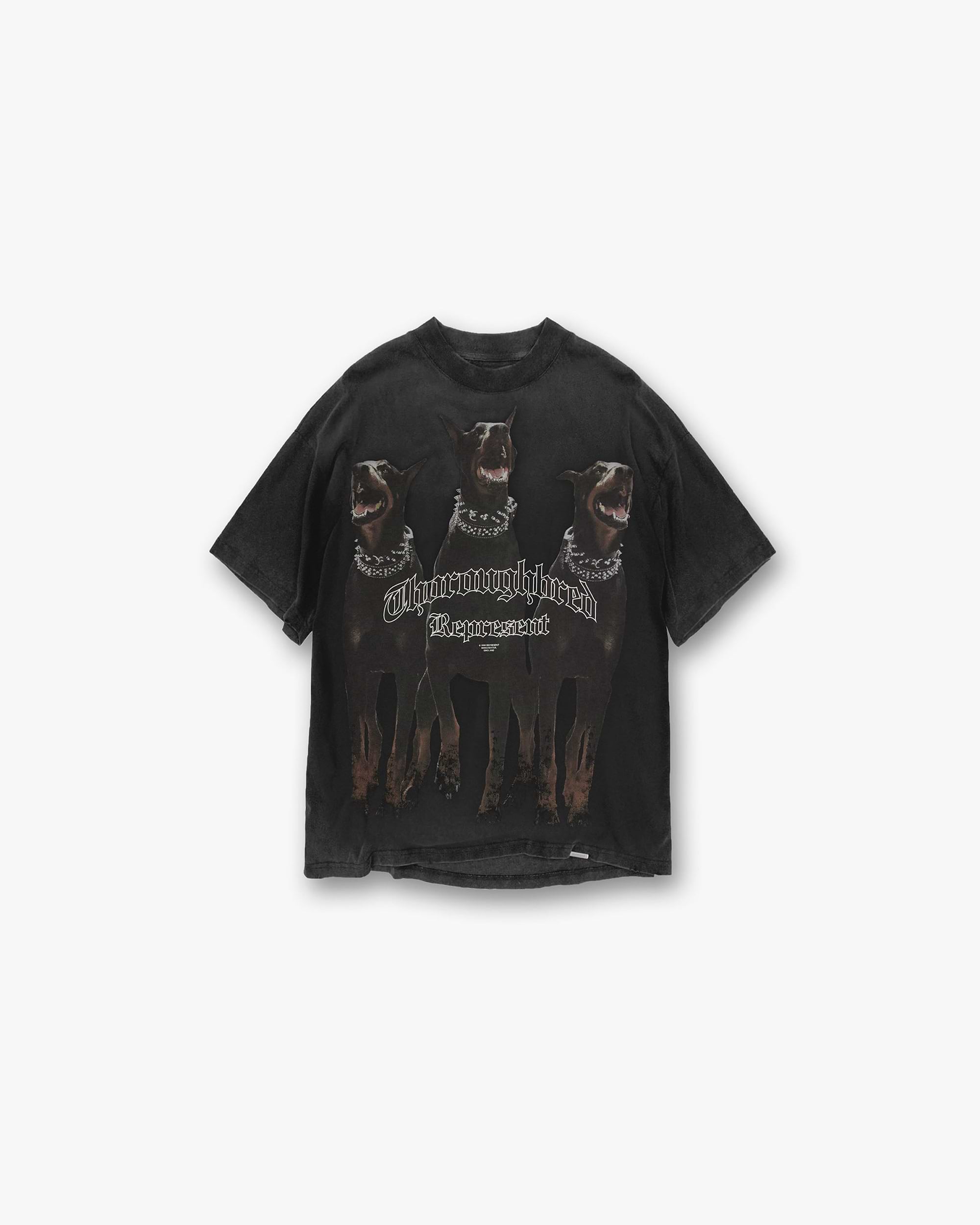 Front product image of a mens black t-shirt on a plain white background | Thoroughbred T-Shirt in Vintage Black | Soft cotton t-shirt | FW21 T-Shirts | Represent Clo