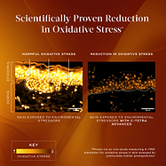 An infographic titled "Scientifically Proven Reduction in Oxidative Stress*" set against a warm orange background. It compares two microscopic cross-sections of skin (epidermis and dermis). The left image, labeled "SKIN EXPOSED TO ENVIROMENTAL STRESSORS," shows bright yellow glowing areas indicating harmful oxidative stress. The right image, labeled "SKIN EXPOSED TO ENVIROMENTAL STRESSORS WITH C-TETRA ADVANCED," shows significantly darker tissue, demonstrating a reduction in oxidative stress. 