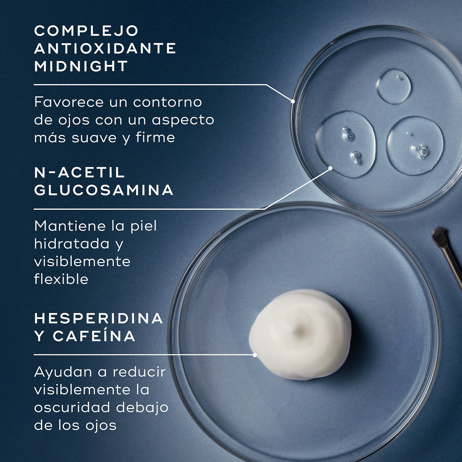 Tres placas de Petri muestran ingredientes clave sobre un fondo azul. El texto destaca el Midnight Antioxidant Complex para mejorar la firmeza, la N-Acetyl Glucosamine para la hidratación y la Hesperidina y Cafeína para reducir la oscuridad de las ojeras.