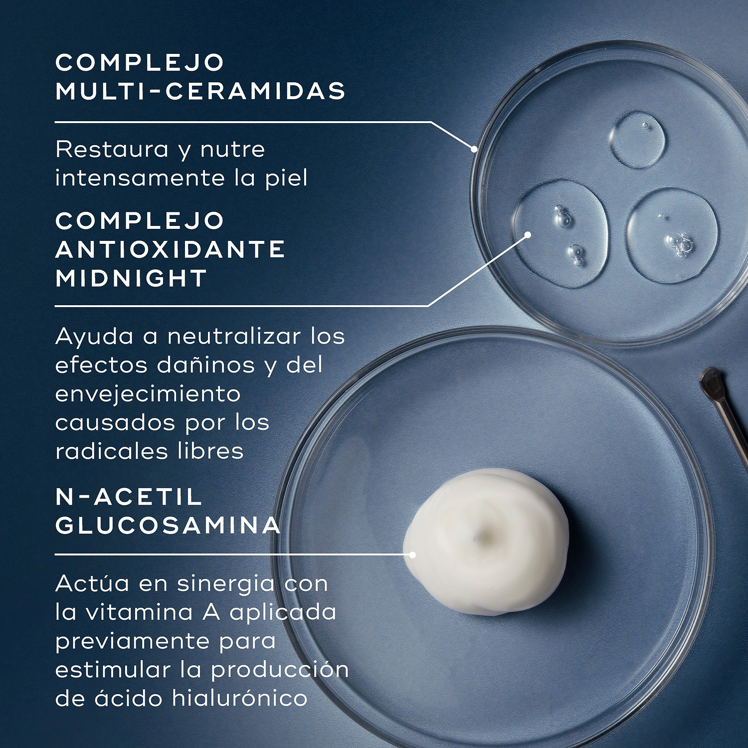 Un desglose de ingredientes sobre un fondo azul muestra tres placas de Petri con líquidos transparentes y una porción de crema blanca. Líneas conectan cada elemento con su descripción: Complejo Multiceramidas, Complejo Antioxidante Nocturno y N-Acetil Glucosamina.
