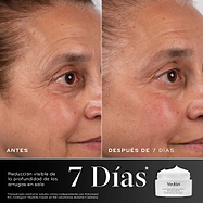 Advanced Pro-Collagen+ Peptide Cream