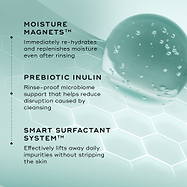 Ingredient graphic featuring moisture magnets, prebiotic inulin and smart surfactant system with a water-inspired visual