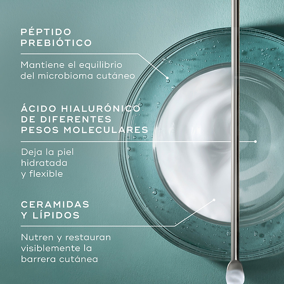 Infografía titulada «¿QUÉ HAY DENTRO?» sobre un fondo color verde azulado, que muestra una vista superior de un recipiente de vidrio con una espiral de crema blanca y líquido transparente junto a una espátula metálica. El texto señala los ingredientes clave: **PÉPTIDO PREBIÓTICO** (mantiene un microbioma cutáneo equilibrado), **ÁCIDO HIALURÓNICO DE MÚLTIPLES PESOS MOLECULARES** (deja la piel hidratada y flexible) y **CERAMIDAS Y LÍPIDOS** (restauran y nutren visiblemente).-hover-42