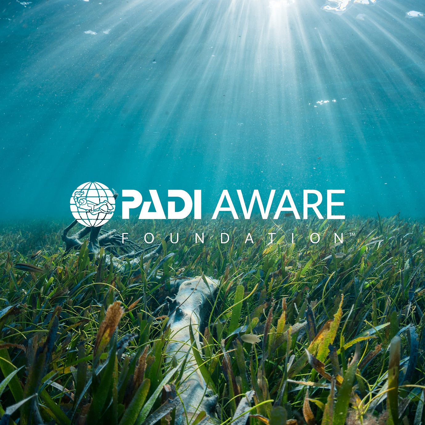 Charity et champions communautaires