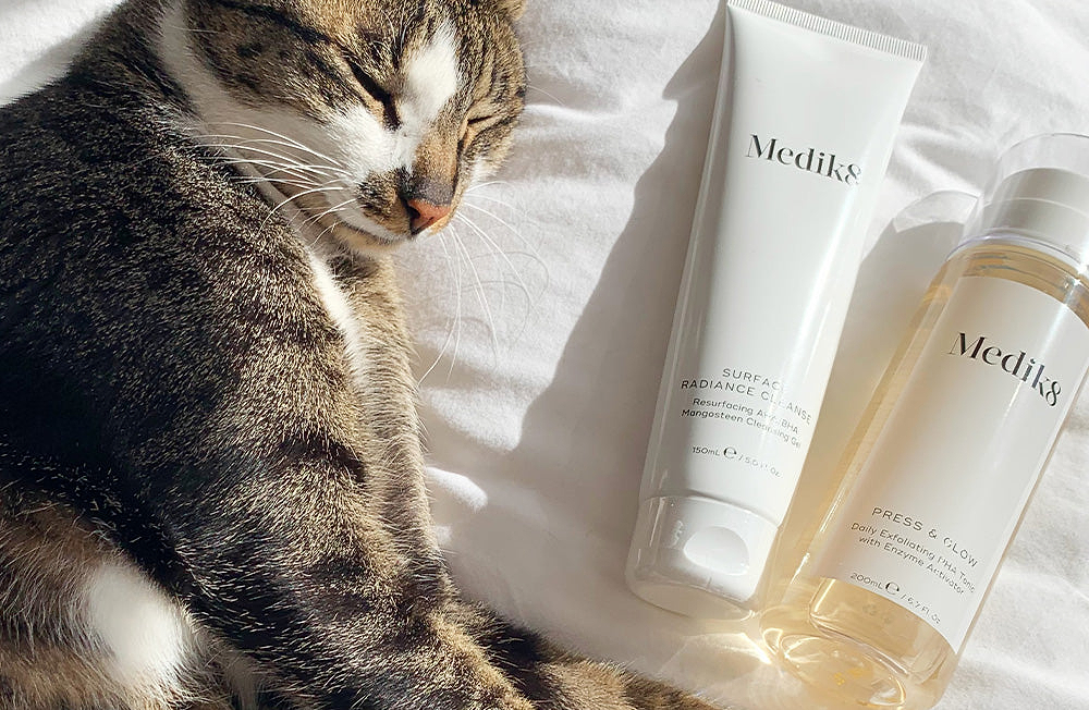 Contre l'expérimentation animale