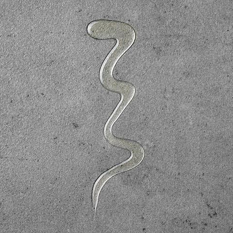 Surface Radiance Cleanse (Travel Size)-hover-11