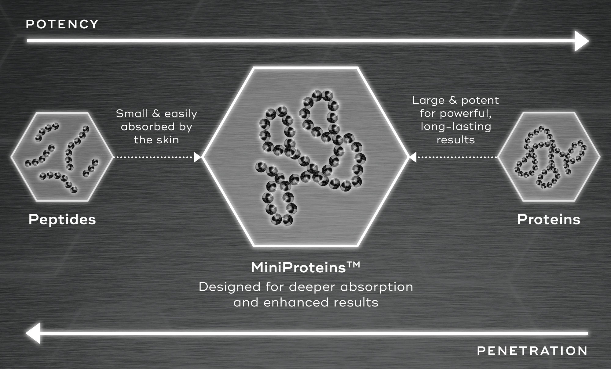 An infographic on a dark grey metallic background comparing Peptides, MiniProteins™, and Proteins. Top and bottom arrows indicate increasing 