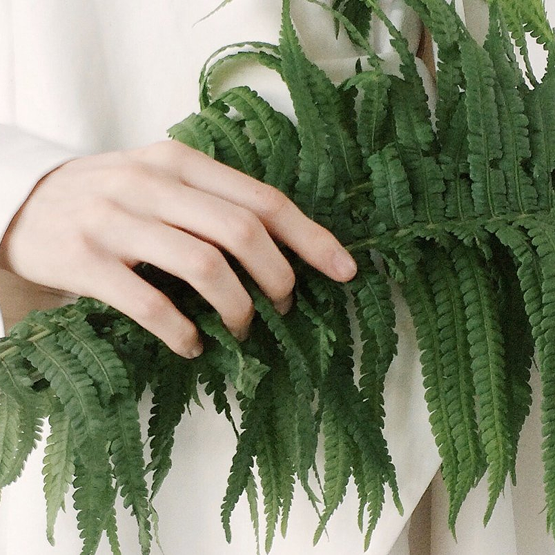 Why are some alcohols good in skincare?