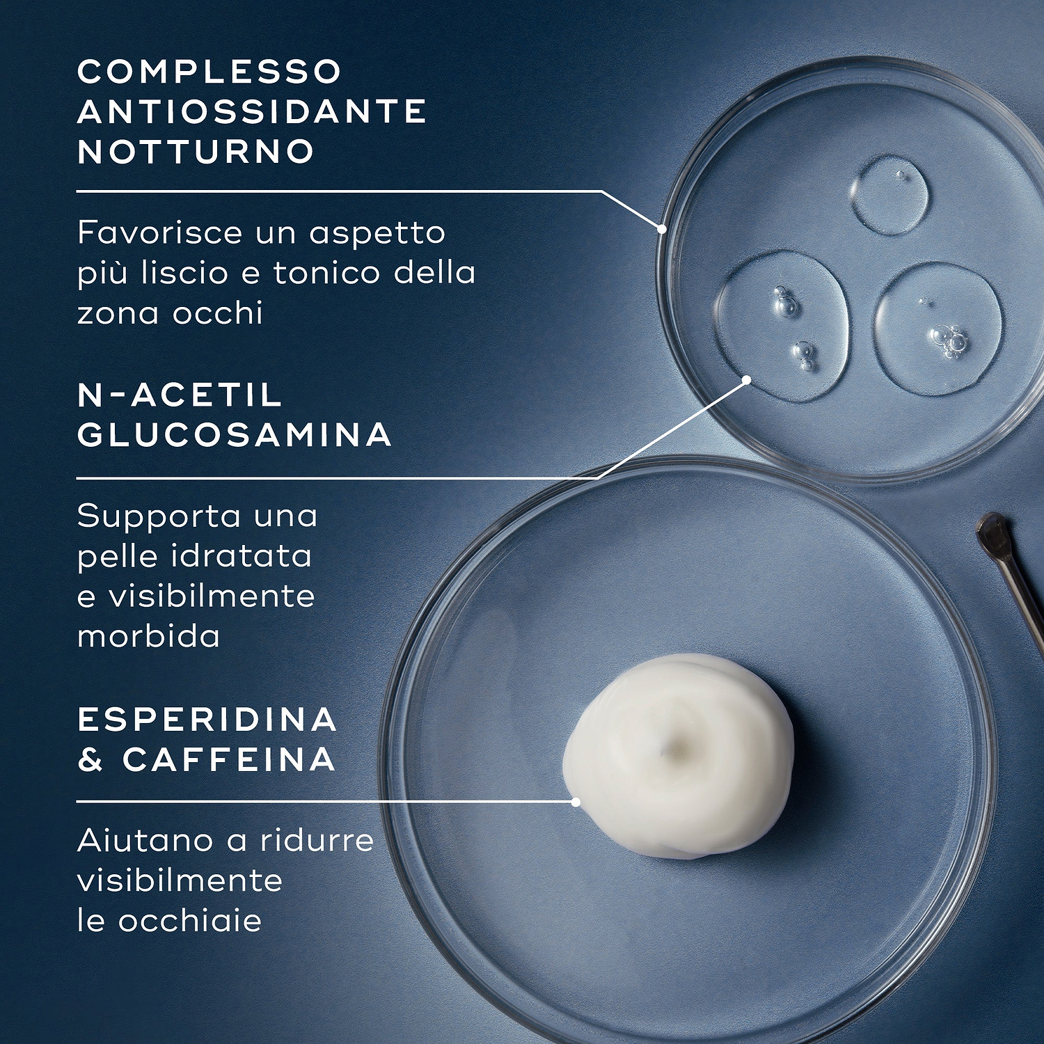 Elenco degli ingredienti principali della Advanced Night Eye Cream, prodotto e testo su sfondo blu.