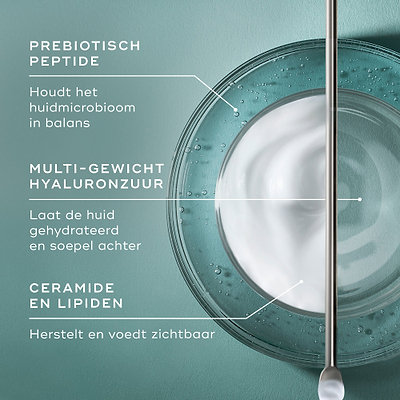 Een infographic op een teal achtergrond, met een bovenaanzicht van een glazen schaaltje met een swirl van witte crème en heldere vloeistof met een metalen spatel. Tekst wijst naar belangrijke ingrediënten: PREBIOTISCHE PEPTIDE (helpt een evenwichtig huidmicrobioom te behouden), MULTI-GEWICHT HYALURONZUUR (laat de huid gehydrateerd en soepel aanvoelen) en CERAMIDEN & LIPIDEN (herstellen en voeden de huid zichtbaar).