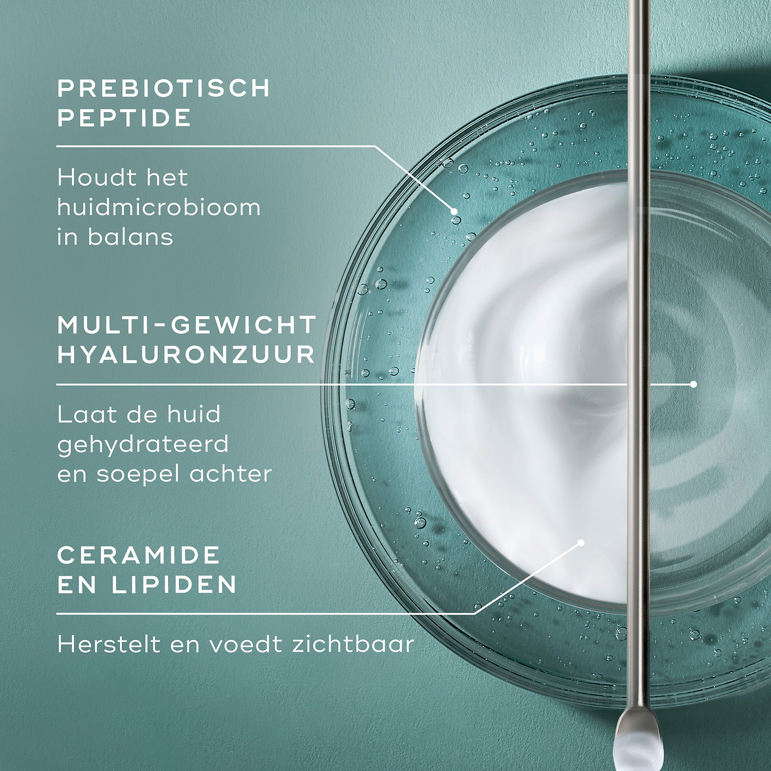 Een infographic op een teal achtergrond, met een bovenaanzicht van een glazen schaaltje met een swirl van witte crème en heldere vloeistof met een metalen spatel. Tekst wijst naar belangrijke ingrediënten: PREBIOTISCHE PEPTIDE (helpt een evenwichtig huidmicrobioom te behouden), MULTI-GEWICHT HYALURONZUUR (laat de huid gehydrateerd en soepel aanvoelen) en CERAMIDEN & LIPIDEN (herstellen en voeden de huid zichtbaar).
