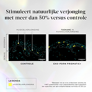 Een infographic op een licht holografische achtergrond met de titel “Verhoogt natuurlijke vernieuwing met meer dan 50% ten opzichte van de controle”. Twee microscopische dwarsdoorsneden van de huid vergelijken een “Controle” met “Exo-PDRN Prismatic+”.