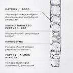 Zbliżenie na serum z peptydami w buteleczce z zakraplaczem. W podpisach pod zdjęciem wyróżniono kluczowe składniki: MATRIXYL® 3000, PEPTYD MIEDZIOWY DOSTARCZANY PRZEZ DRONY, KARNOZYNA, PEPTYD PRZECIWZMARSZCZKOWY.