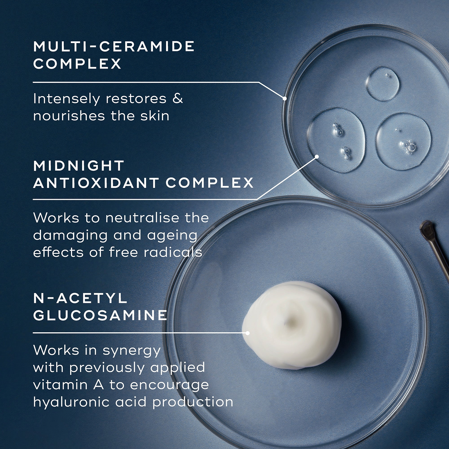 An ingredient breakdown on a blue background featuring three petri dishes containing clear liquids and a white cream dollop. Lines connect them to text explaining the "Multi-Ceramide Complex," "Midnight Antioxidant Complex," and "N-Acetyl Glucosamine."