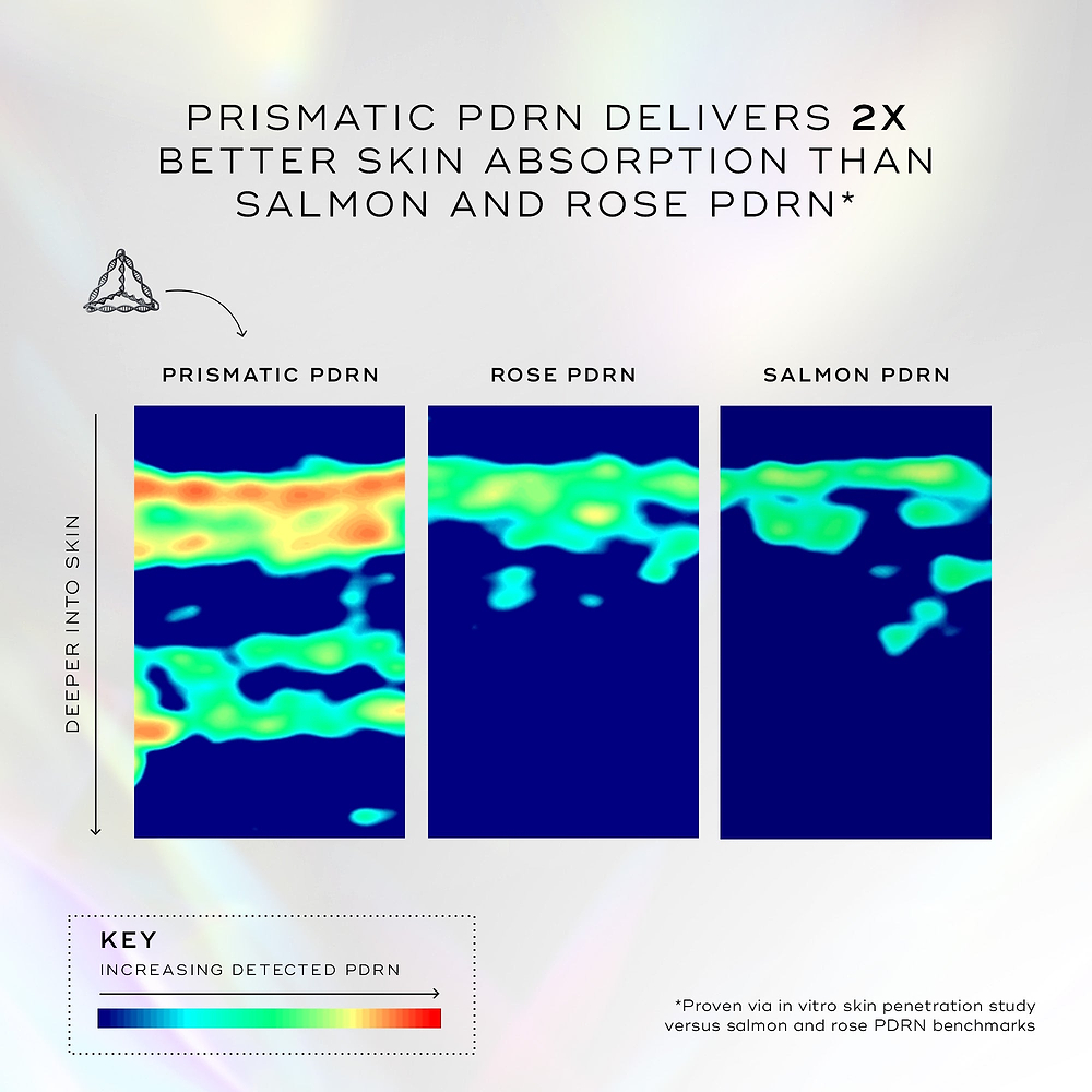 An infographic on a light holographic background titled "PRISMATIC PDRN DELIVERS 2X BETTER SKIN ABSORPTION THAN SALMON AND ROSE PDRN*". Three heat map panels compare Prismatic, Rose, and Salmon PDRN, with Prismatic showing significantly higher absorption deeper into the skin. A key indicates a color scale from blue to red for "Increasing Detected PDRN". A footnote references an in vitro penetration study.